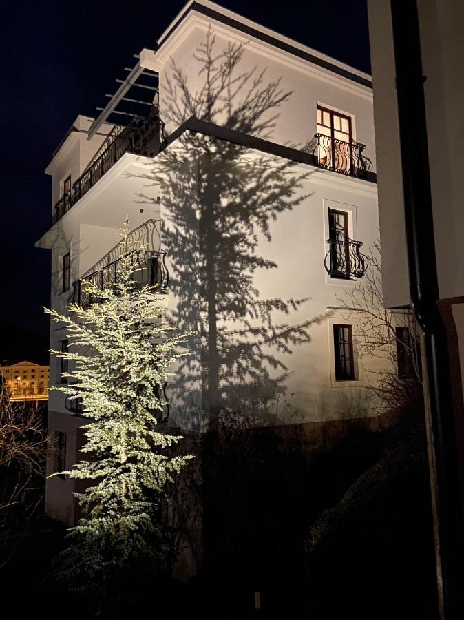 Vila Maister Celje Ngoại thất bức ảnh
