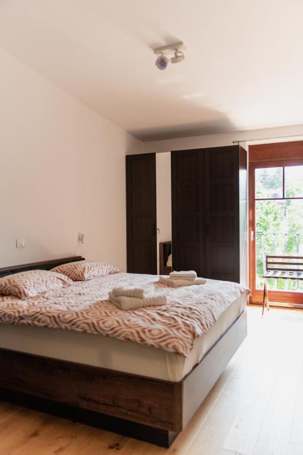 Vila Maister Celje Ngoại thất bức ảnh